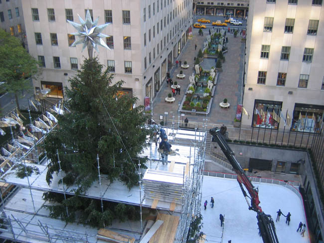 The Rockefeller Center Christmas Tree from the 7th floor of 30 Rock